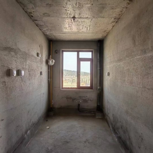 一品雅苑毛坯带车位东边户