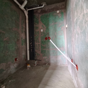 莱茵小镇一楼带院