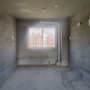 莱茵小镇电梯一楼带院