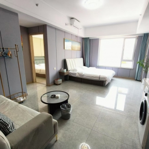 祥泰紫宸公寓精装修