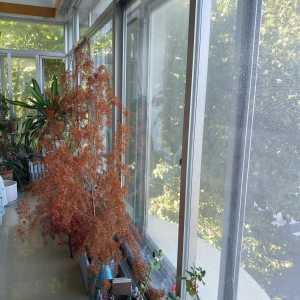 海滨北路 看海大平层 乐鱼官网全网二中北校