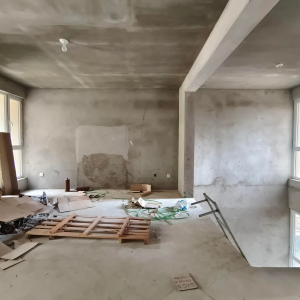 望島名郡 一楼带院 带下跃 毛坯带露台