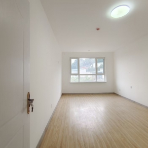 柒公馆 电梯框架 毛坯