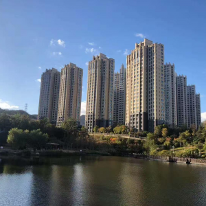 龙泽府 框架电梯 翠竹小学