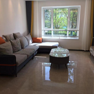 湾九里 精装修 矮楼层