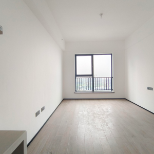 中海金线鼎公寓 精装修