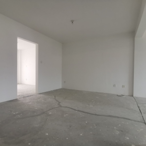 神道口C区框架毛坯新房