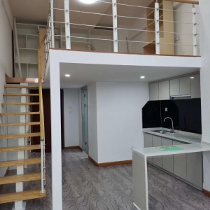 山大利群对面南向精装复式公寓