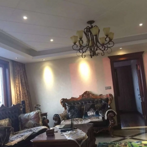 实验中学精装电梯大宅