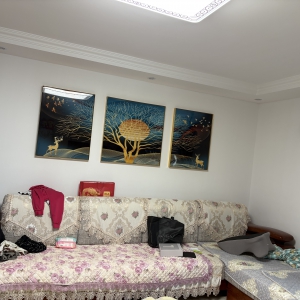 正棋花园 电梯房 三室两厅两卫 带储藏室