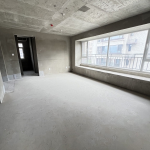 保利翰林院 洋房东边户5.4米大客厅