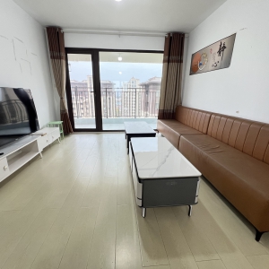 中南林清月，带地下车位，双阳台