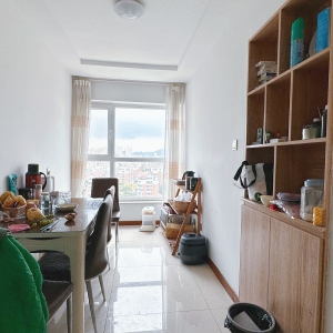 龙跃国际一期复式