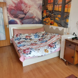 鲸园实验