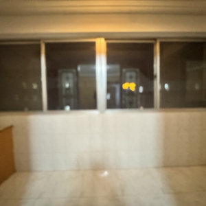 柴峰3室带储藏室边户